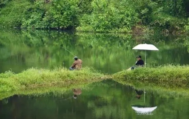 调漂|这些钓鱼人最容易走得弯路,钓龄3年以上的人肯定都经历过!