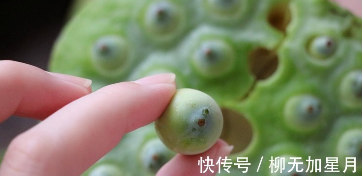 美味|夏天1种高钾食材正当季,去皮煮一煮,营养美味,过阵子就少了!