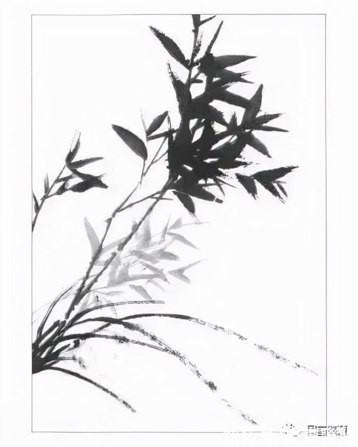 兰叶@国画兰花绘画技法，怎样画兰，兰与竹的组合画法教程
