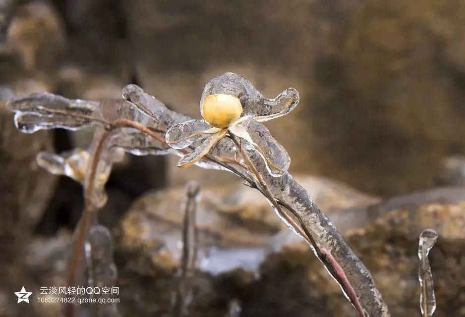 爬长城、赏雪景、泡温泉···这样的过冬方式，浓缩了整个冬日的幸福！