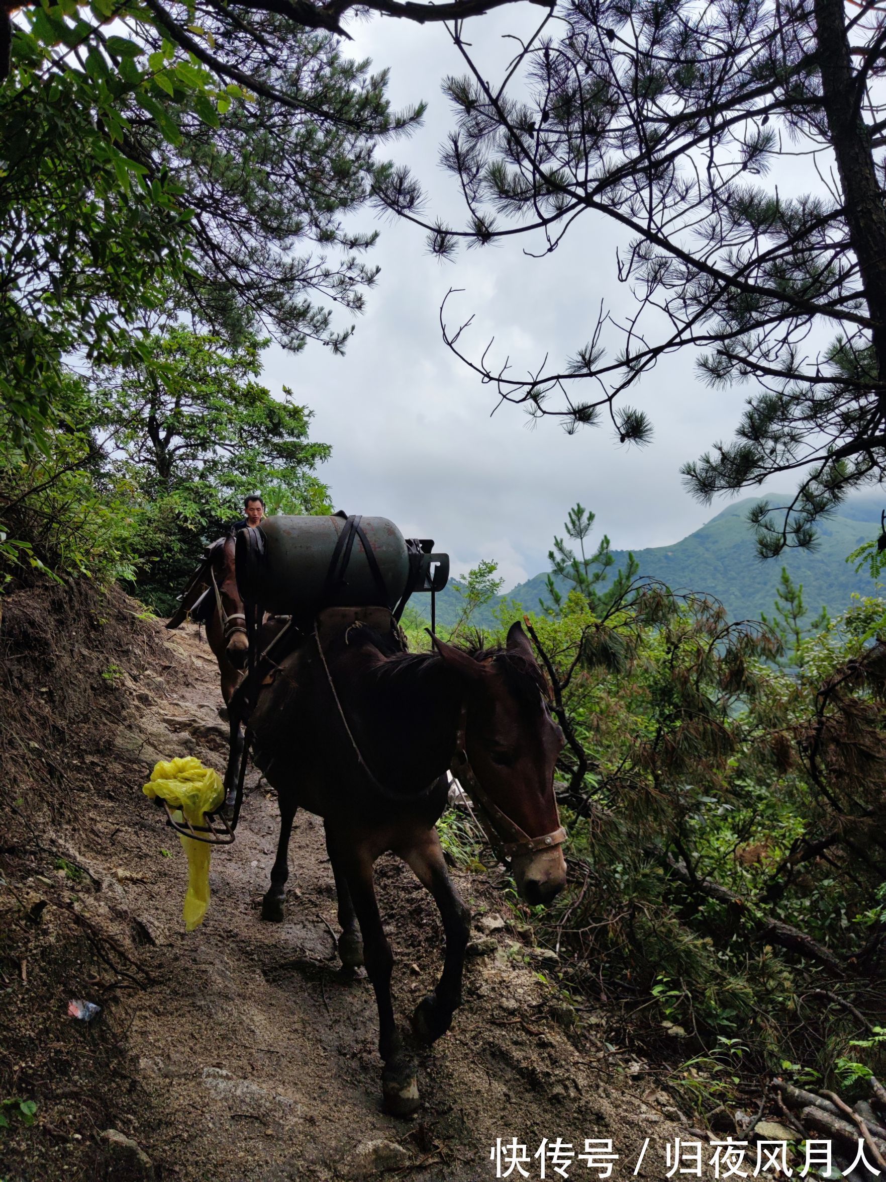 金顶|记录一次说走就走的武功山徒步之旅