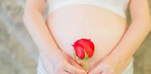 囊胚|避免试管婴儿胚胎着床失败，这些因素是关键！
