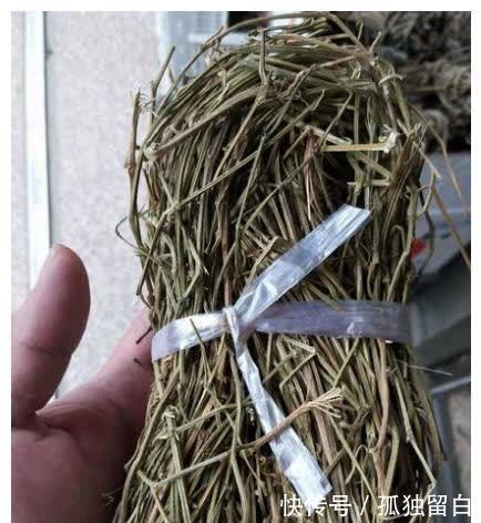 绞股蓝|吃2斤木耳，不如吃1两它，控住血压软化血管，三高自然不来扰