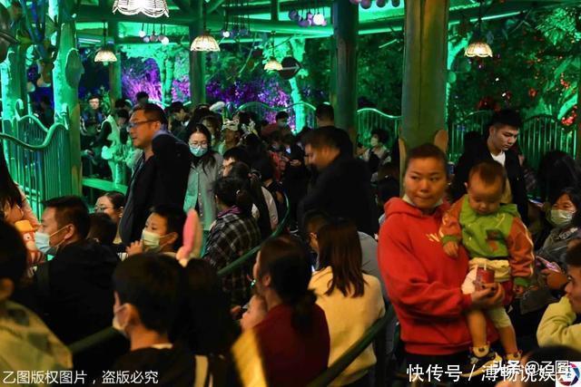 老年|景区游客爆棚,夜晚还在排队,一家人入园10小时8小时在排队