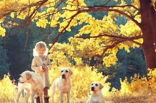 父母|上幼儿园前,家长要“逼”孩子学会这3个技能,能让他少受委屈