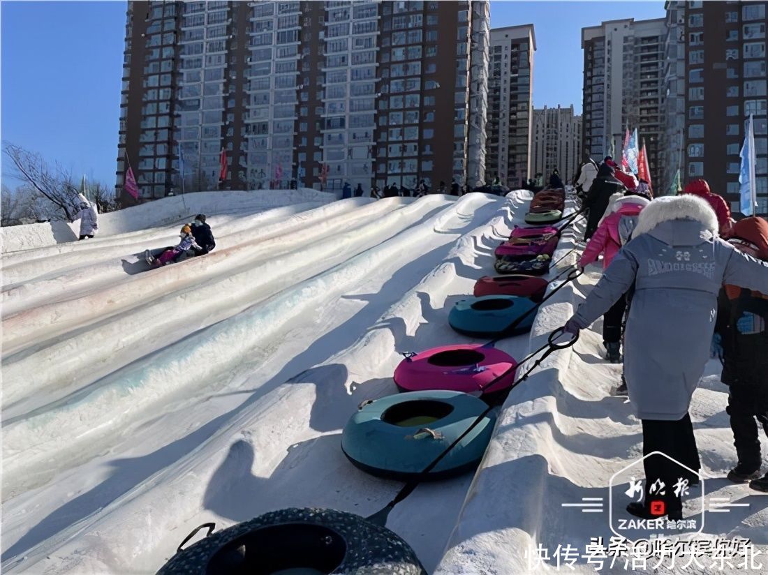 雄安新区|哈市市民游冰雪天地 过快乐春节