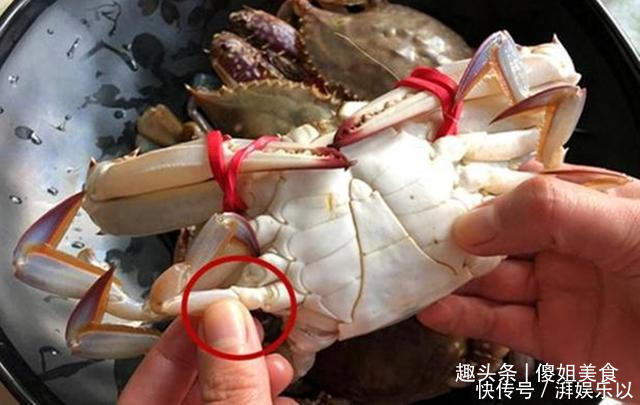 买梭子蟹不会挑老渔民教你1招挑螃蟹，保准个个鲜肥，太香了
