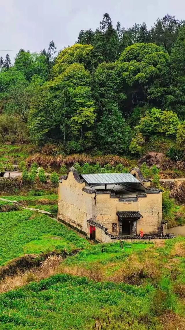 古朴村落恰逢花开，就等你了