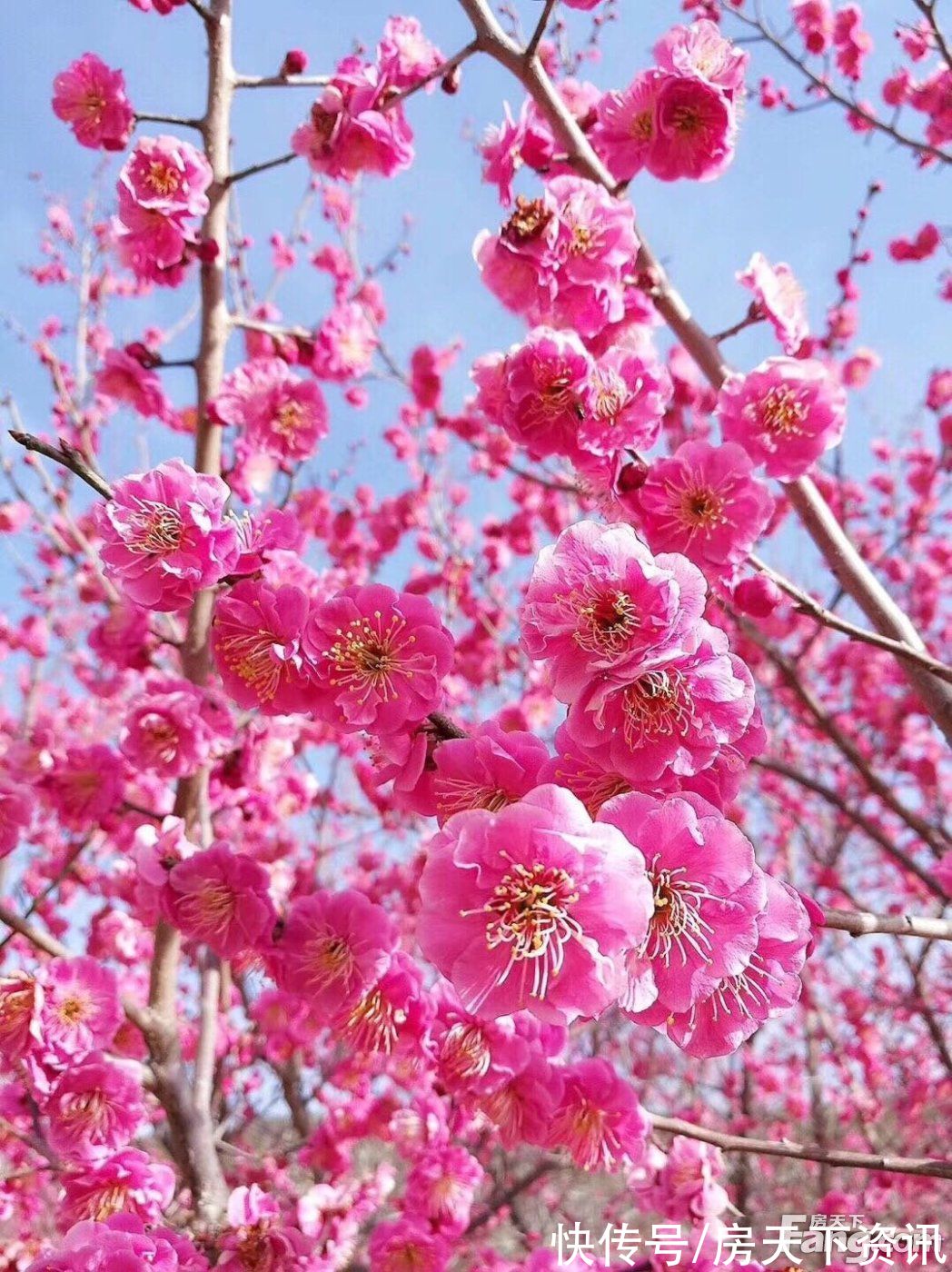 新动态|请查收从大连旅顺口热门楼盘现场传来多张谍照（组图）