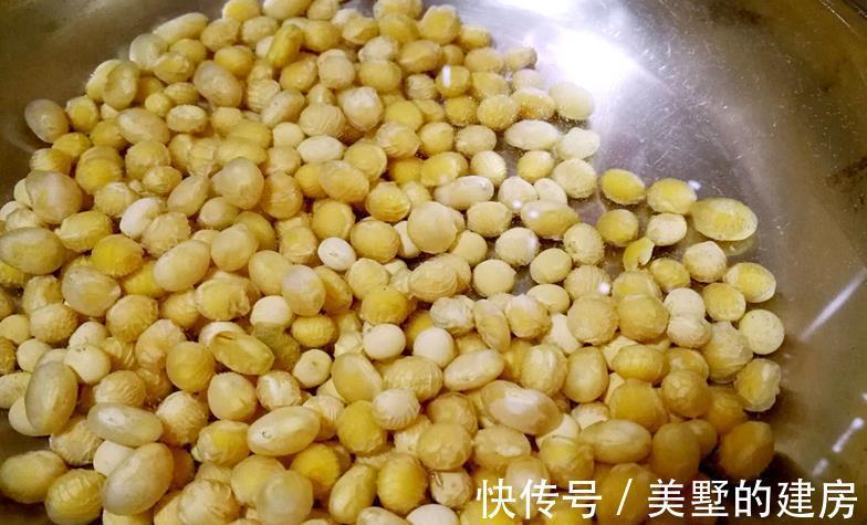 增肥|入秋后，给植物增肥就用它，发酵成水肥养花，肥效持久不烧苗