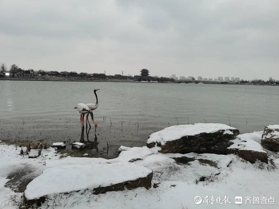 情报站|漫步东昌湖风景区，赏别样风雪美景