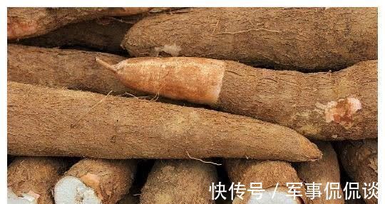 苦瓜|有了身孕后,有4种食物孕妈多吃会损害胎儿健康,特别是第3种