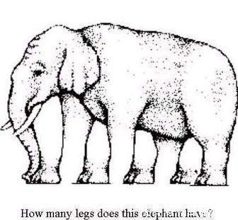中老年人|最新老年痴呆测试图中大象一共有多少条腿答对的人头脑很清醒