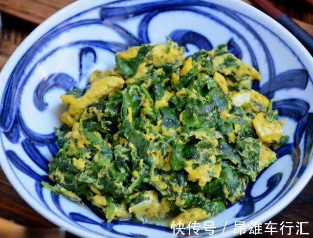 叶子|冬天,用萝卜缨炒鸡蛋,比蒜苔还要香,却很少有人吃,不懂太可惜