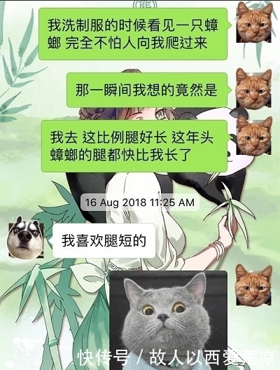 隔天|开心一刻：把502胶水抹在女上司的车座上，隔天女上司红着脸说…