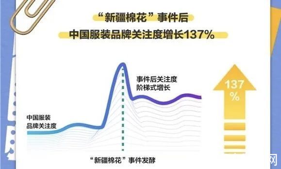 加拿大|冲上热搜！“羽绒服界的爱马仕”被罚45万