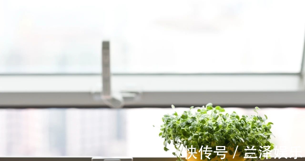 辛弃疾#好暖心的30个诗句,句句精致入心,让人相见恨晚