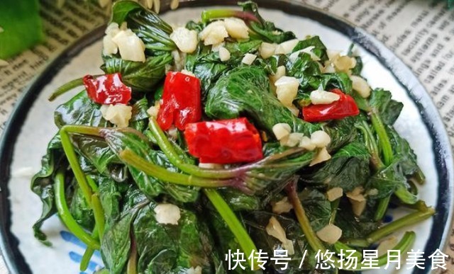 小把儿|这个菜你认识吗它的作用功效太多了，做法简单还好吃哟！