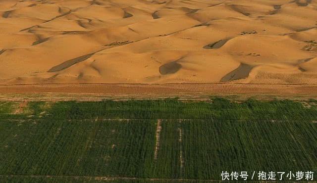 中国把黄河水引到沙漠，沙漠变成了绿洲！