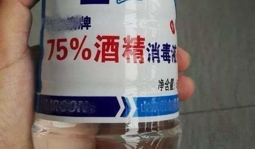 多肉生了蚧壳虫密密麻麻头皮疼,用这2个小方法,一次杀除干净