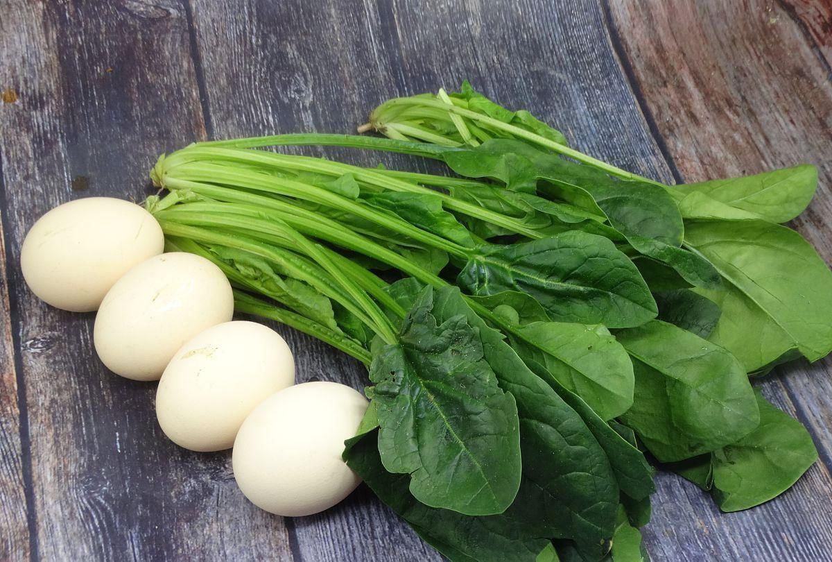 海带|女人黄体酮不足,身体一般会有5种表现常吃4物,有助补充雌激素