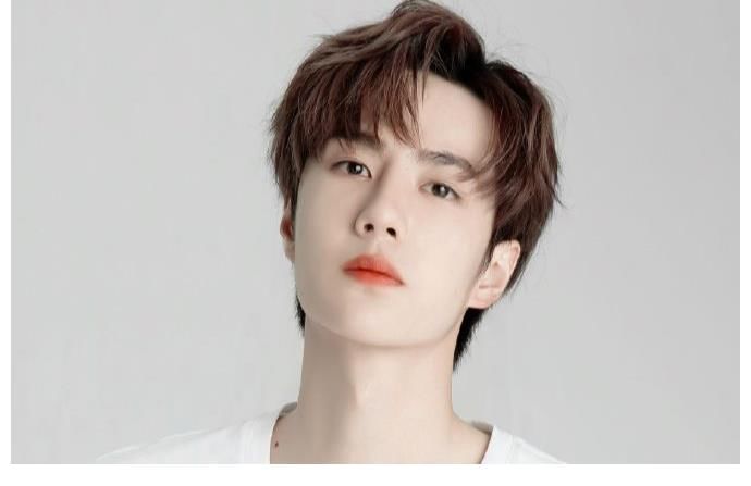 肖战，王一博，黄晓明，张新成，苏炳添，白敬亭，井柏然，王子文