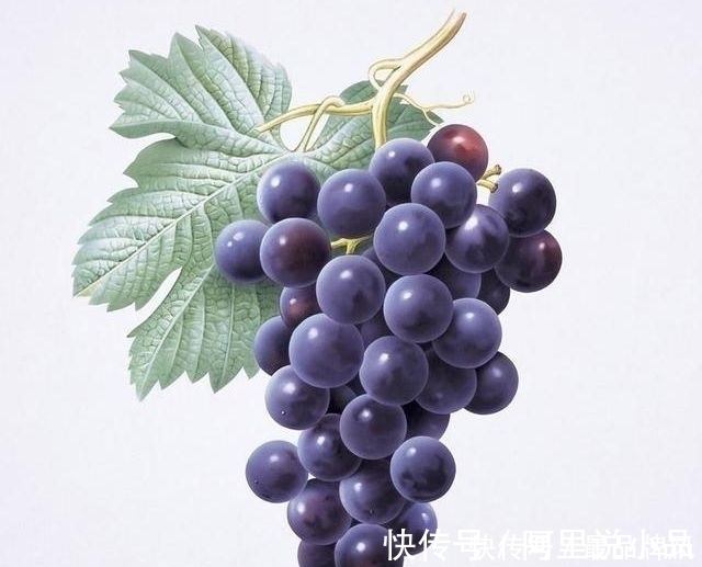 护肤 女生都应该知道的10条不花钱护肤小技巧,条条都是经典!