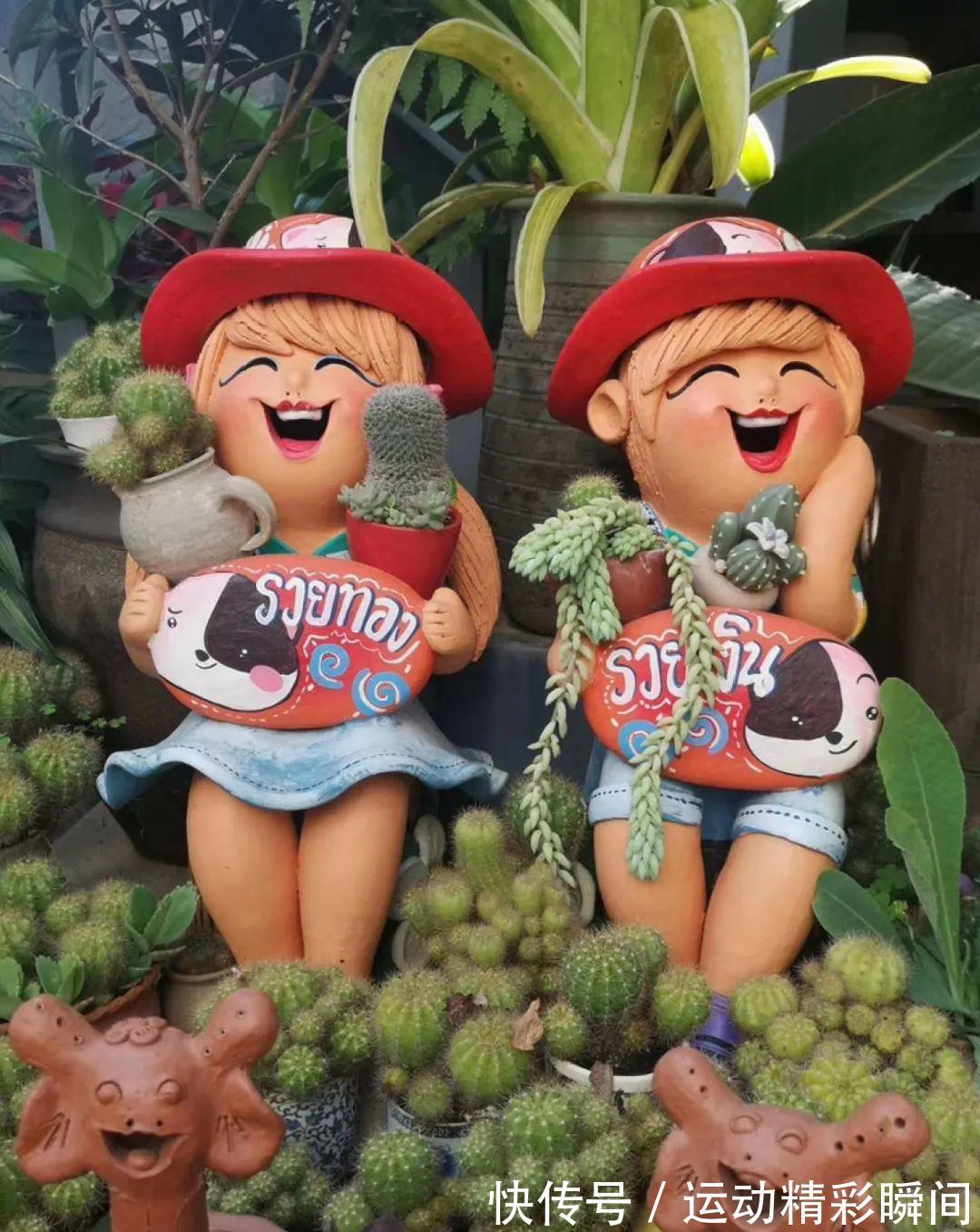 十几年的多肉“妖精”,自然老桩头,造型太美