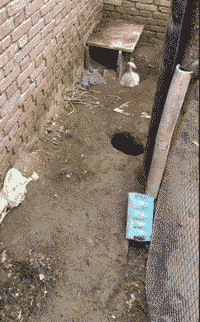 |搞笑GIF趣图:那七个都是小矮人吧?