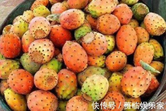 马齿苋|女性不想老得快,推荐常吃4种食物,保护皮肤,美容抗衰老