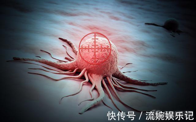 國家藥典|蒲公英根48小時內可殺死98%癌細胞，這一說法是真的嗎？