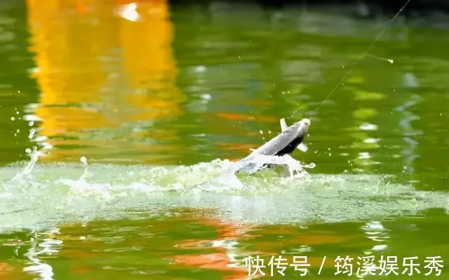 鱼口|钓鱼不看风,到头一场空,除了看水温,风向其实也很重要