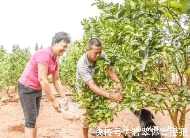 世界大赛|全红婵问母亲:病为啥还没好?母亲:需要花挺多钱,红姐有数了