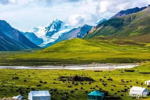 荒野|雪山脚下、荒野之上，此生必体验一次的神秘Safari之旅