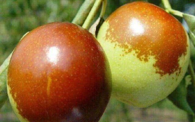 体内湿气|湿气重的人注意,4物早晚换着吃,健脾祛湿,或助你排出体内湿气