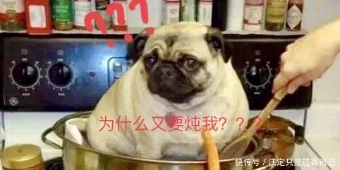 吃饺子|冬至吃饺子原来是纪念他
