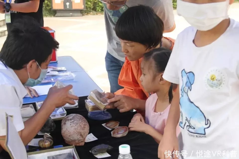 研究化石，趣味定向，植物压花！番禺公园科普活动继续神奇旅程！