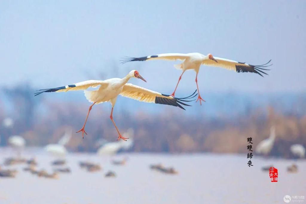 光影中国12月23日图片精选