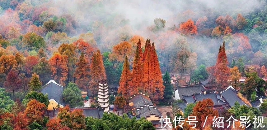 紫衣|浙江北部有座灵峰寺，已有千年历史，还藏有明宫廷“宝贝”