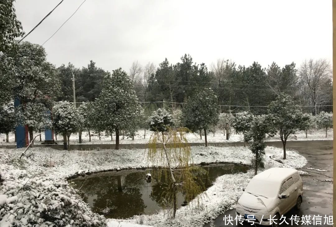 惊艳|惊艳！苍溪九龙山雪景美到cry！