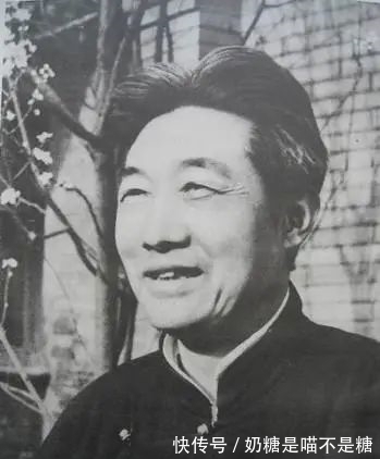 中国人!一代宗师,不露脸也是顶流