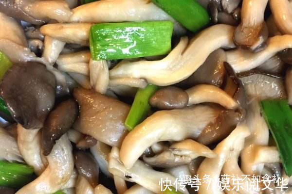 平菇|含有18种氨基酸,清香扑鼻,鲜嫩爽滑,常吃健康又养生,老少皆宜