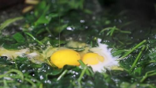 你那有人吃這種野菜嗎？學名龍葵草，土話叫白花菜，你那叫啥？