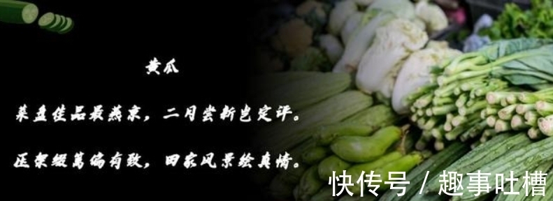 谈艺录$乾隆一生写诗四万多首;小学课本只收录一首,钱钟书:令人作呕.