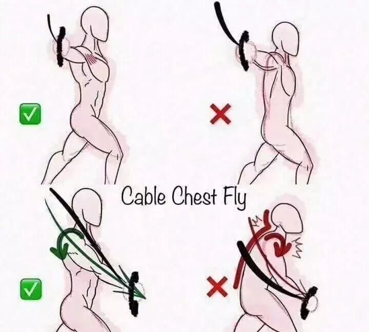 肩胛骨|健身健身房最容易做错的8个动作,动作正确效果翻倍