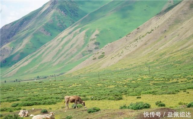 四季|中国最美自驾公路，全长561公里，一天看遍四季风景，游客一生必来