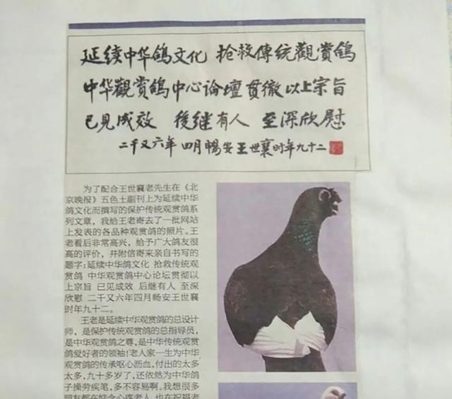 鉴赏家|中国第一玩家 著名文物专家 鉴赏家 收藏家——王世襄