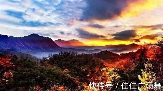 保护区|秋游米仓山，是一件惬意的旅行选择