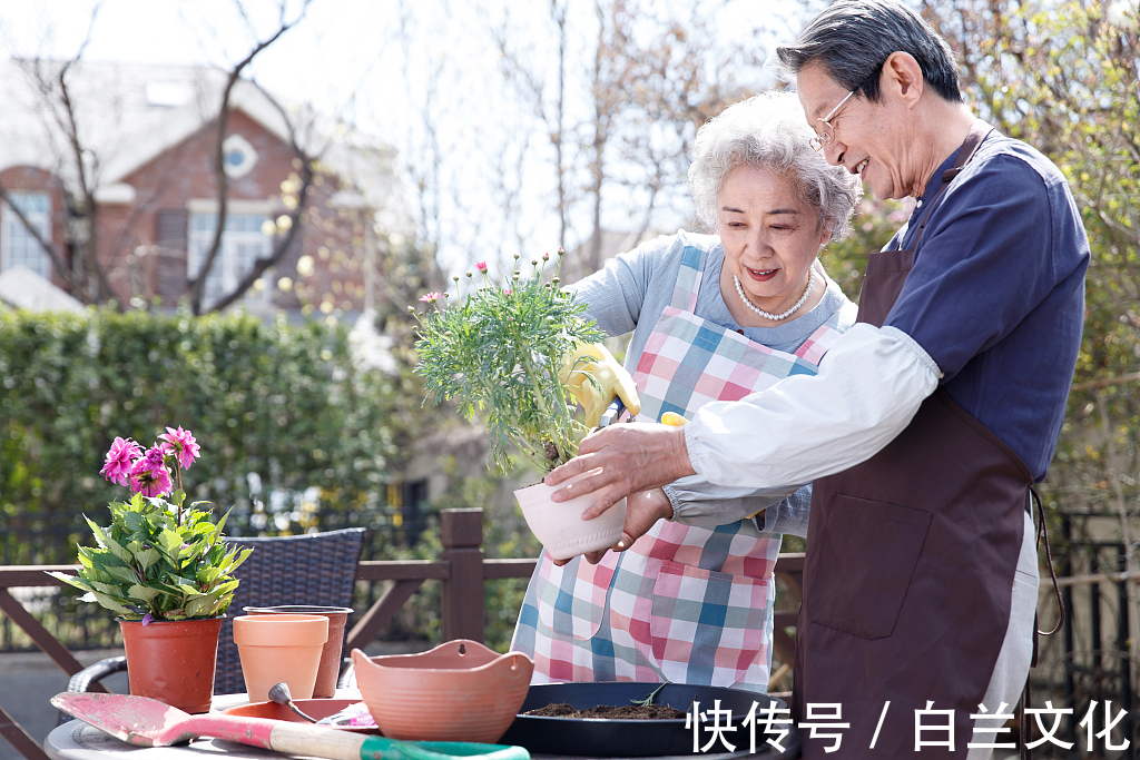 浇水|为什么你总把花养死深度剖析花草养不活的5个主要原因