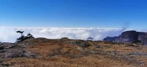 三八妇女节 轿子雪山对所有女神免门票！